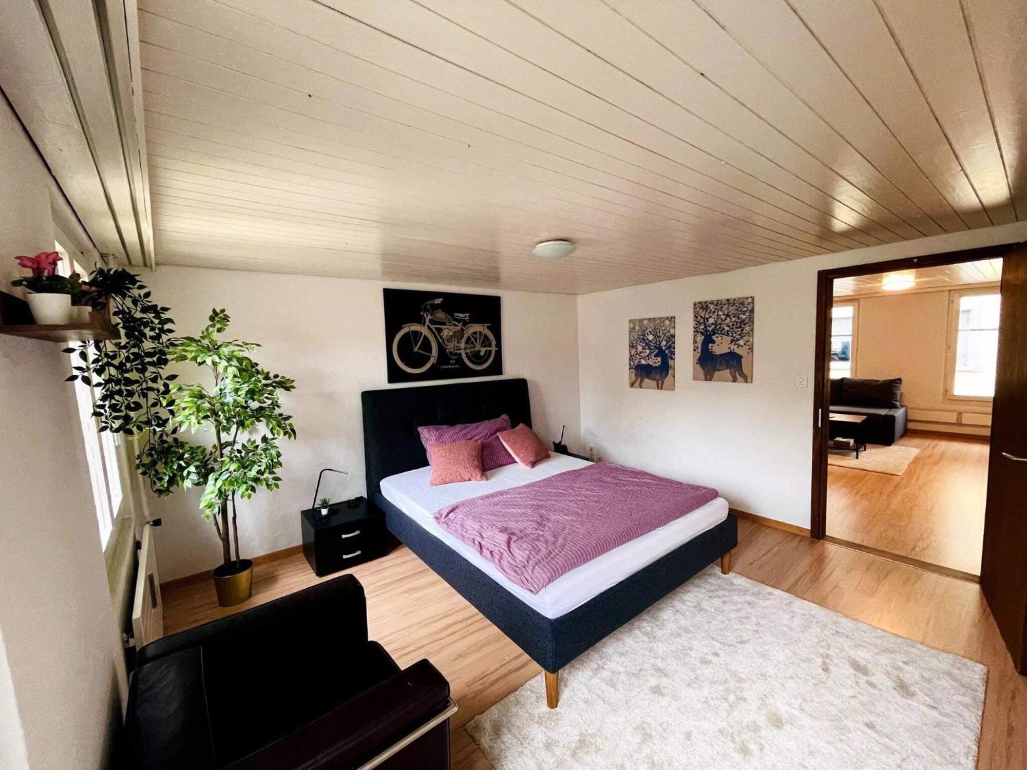 Newly Furnished Beautiful Old Building Apartment In The Center With Apple Tv St. Gallen Esterno foto