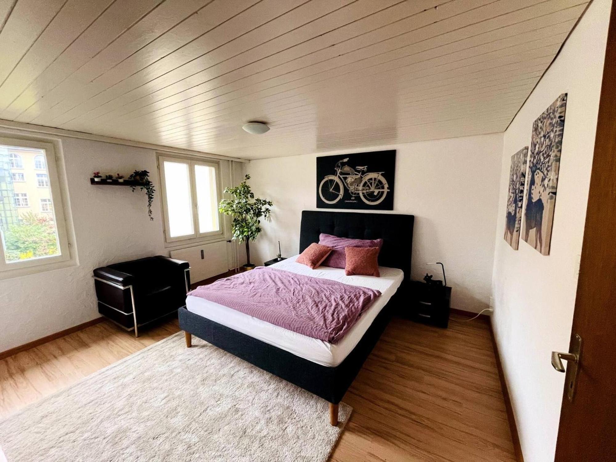 Newly Furnished Beautiful Old Building Apartment In The Center With Apple Tv St. Gallen Esterno foto